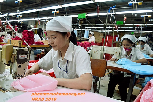 Tính công tính lương cho công ty FASHY (Viễn Đông) - Biên Hòa Đồng Nai Tính công tính lương cho công ty FASHY (Viễn Đông) - Biên Hòa Đồng Nai