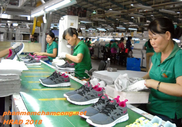 Tính công tính lương cho công ty sản xuất Gia dày Tính công tính lương cho công ty sản xuất Gia dày